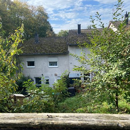 In Saarbruecken Stadtnahe Gemuetliche Wohnung Am Deutsch-Franzoesischen Garten Extérieur photo