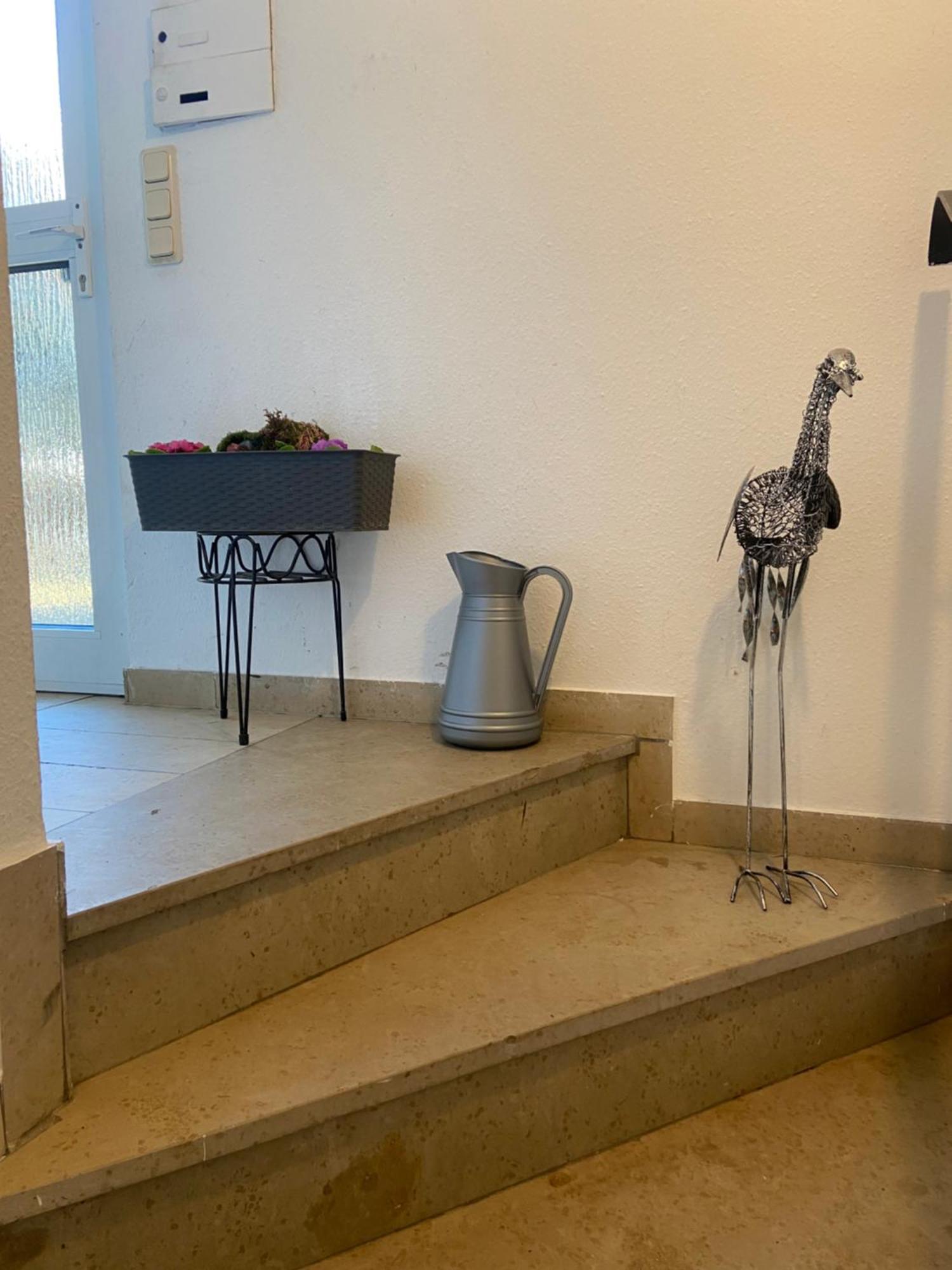 In Saarbruecken Stadtnahe Gemuetliche Wohnung Am Deutsch-Franzoesischen Garten Extérieur photo