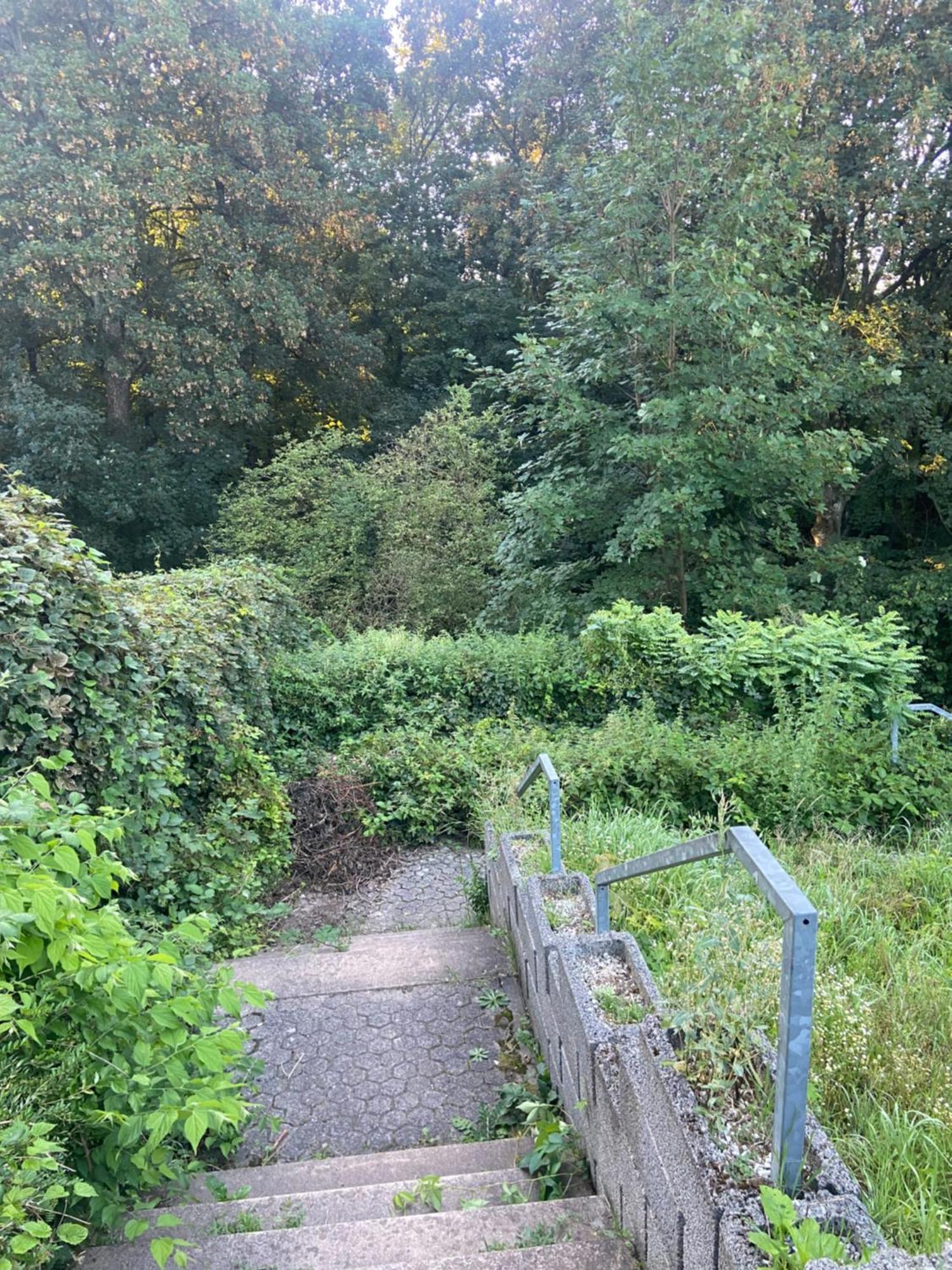 In Saarbruecken Stadtnahe Gemuetliche Wohnung Am Deutsch-Franzoesischen Garten Extérieur photo